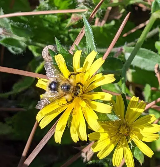 Rick Pellicciotti_Agriturismo Persichitti_Torricella Peligna_review