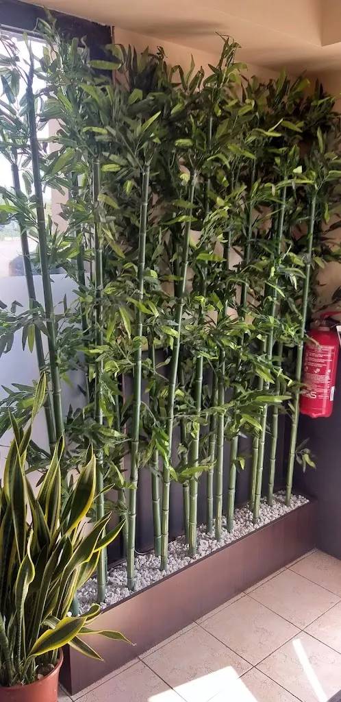 Flavio Airam_YUJO ristorante giapponese_Colleferro_review