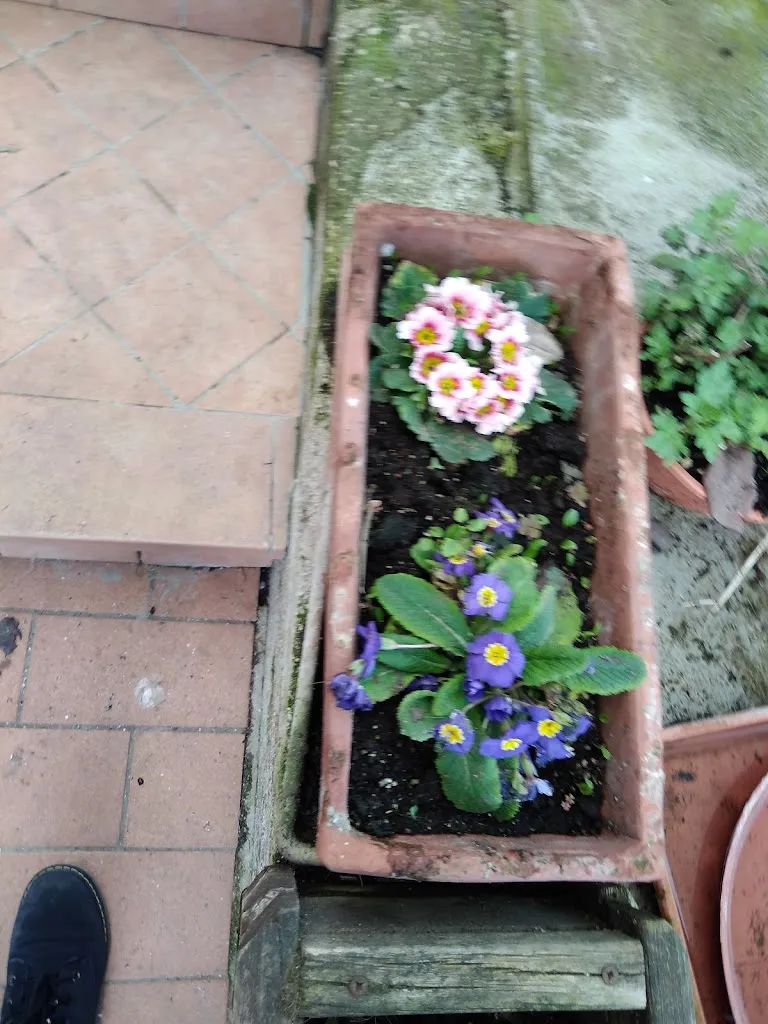 Michela Capocchia_Agriturismo Colle delle Rose di Passa Rita_Colleferro_review