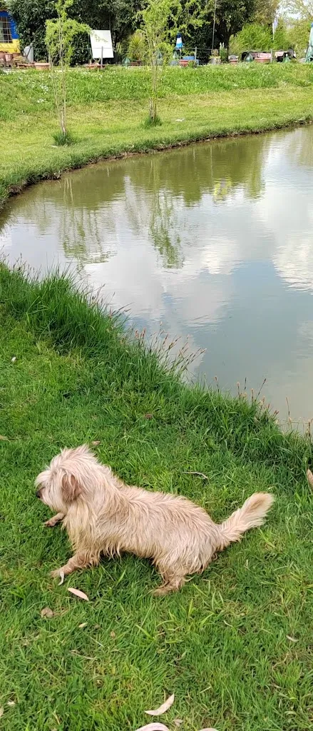 Cristina Laperuta_Lo Chalet sul Lago_Falvaterra_recensione