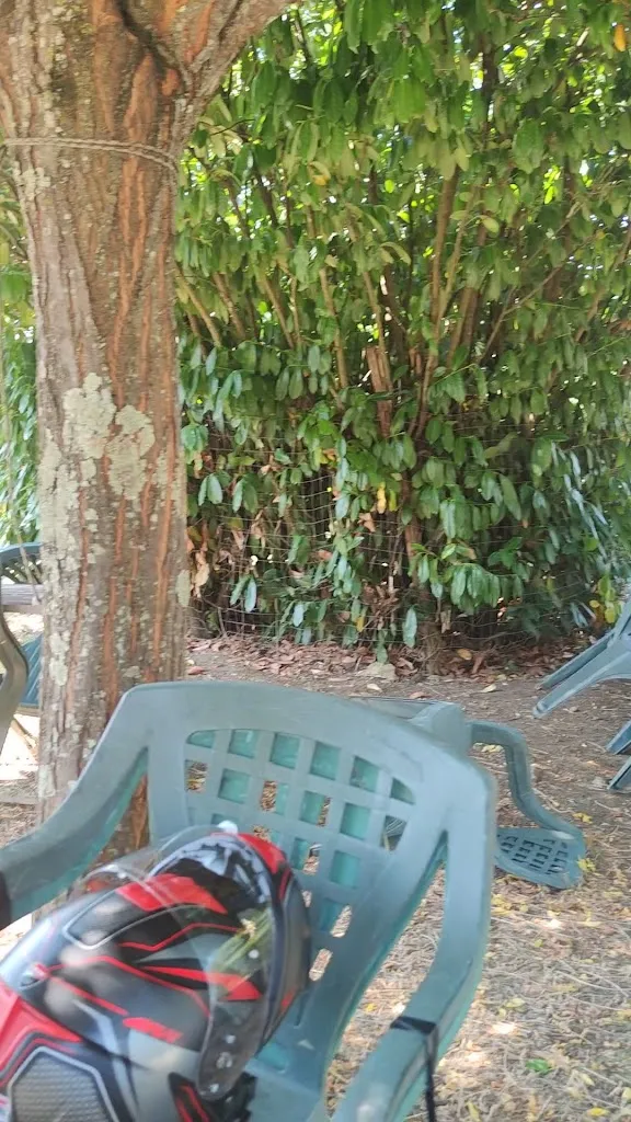 Fabio Trinca_Lo Chalet sul Lago_Falvaterra_recensione