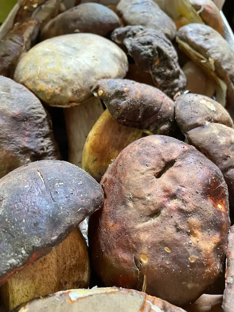 Trattoria Antonella Fabrica Di Roma_Fabrica di Roma_slider_image_3