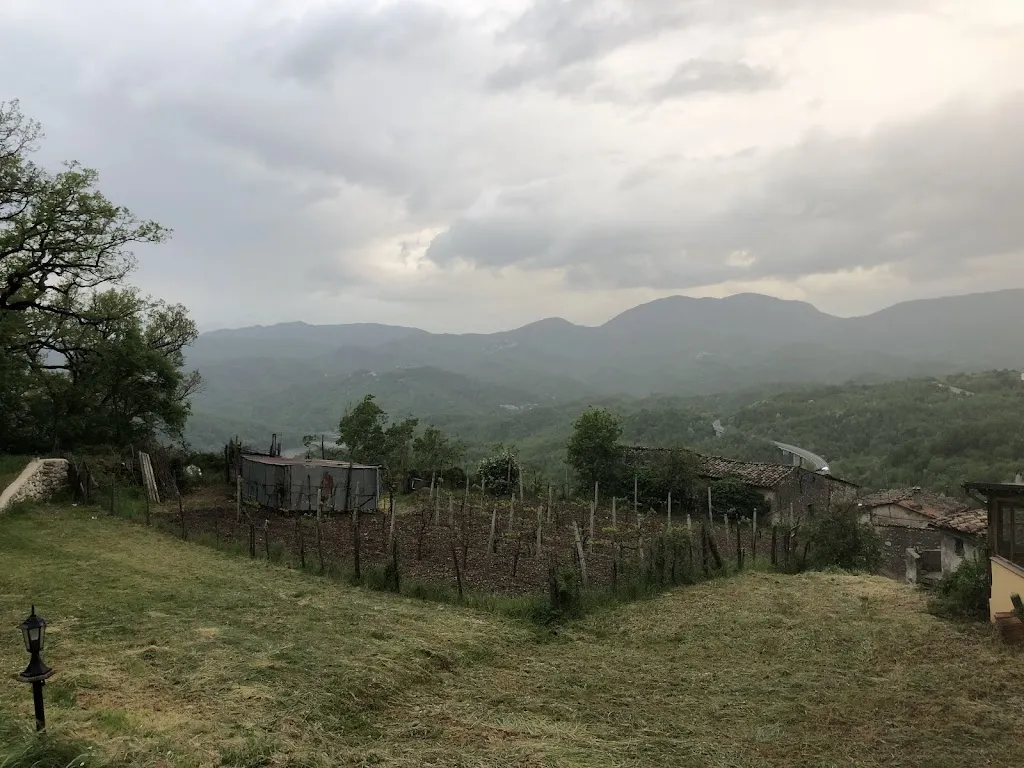 DominicVine oftheOwls_Sfreddafacioli di Mario e Rosanna_Fiamignano_review