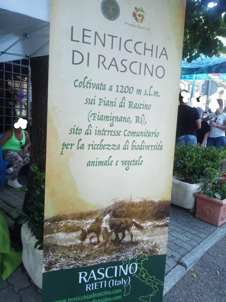 Bar del Poggio restaurant in Fiamignano