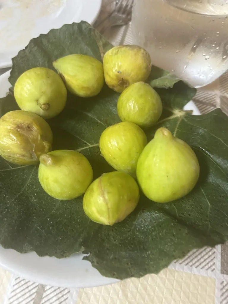 Tiziana Ronchetti_Trattoria La Galleria_Filettino_review