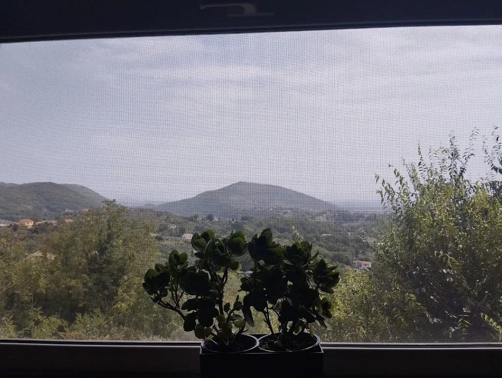 Punakaiki_Ristorante Domitilla_Ferentino_review