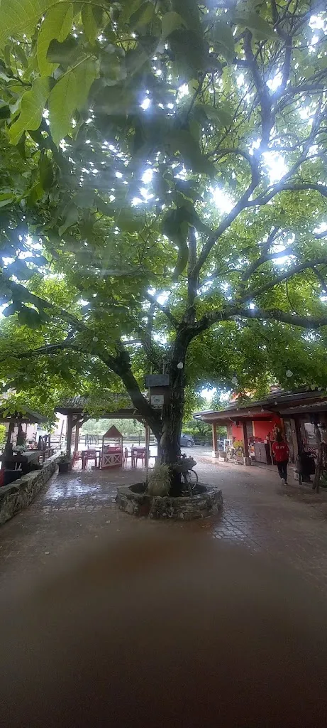 Alessandro Macuzzi_Farm Nonna Luisa_Ferentino_recensione