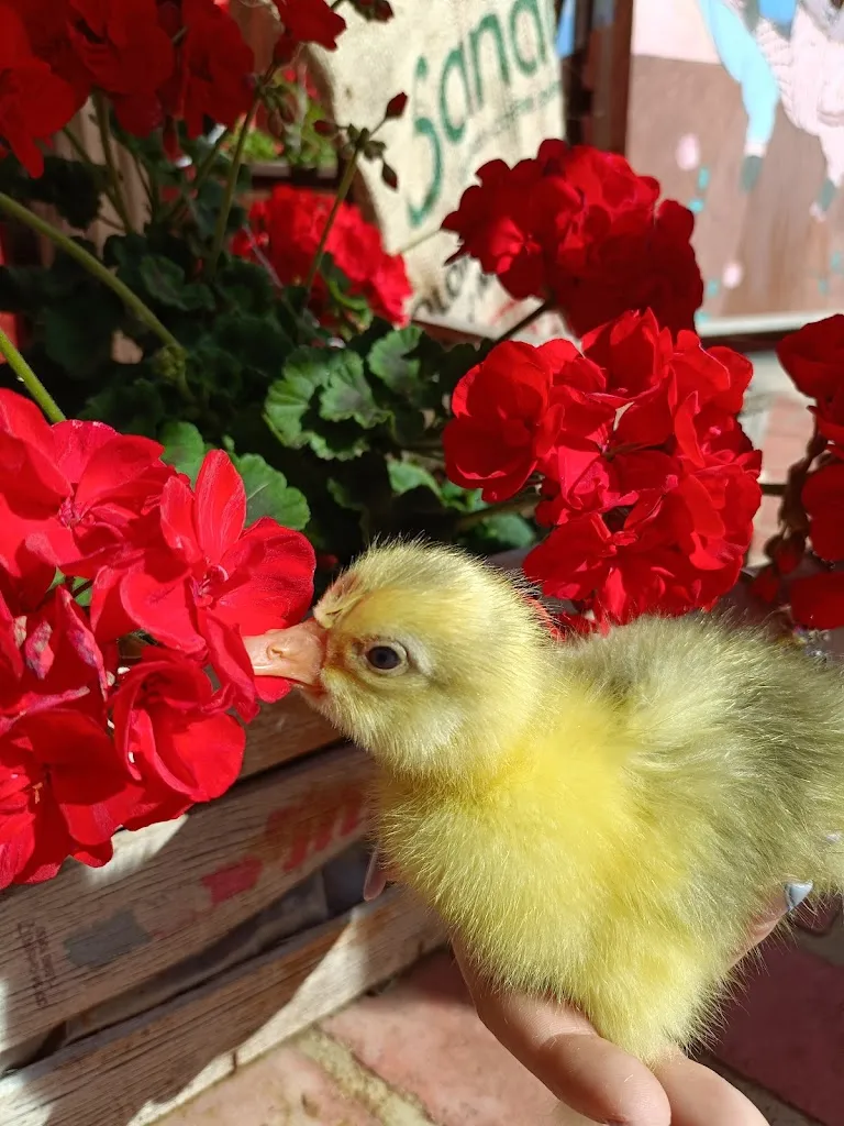 Farm Nonna Luisa_Ferentino_slider_image_3