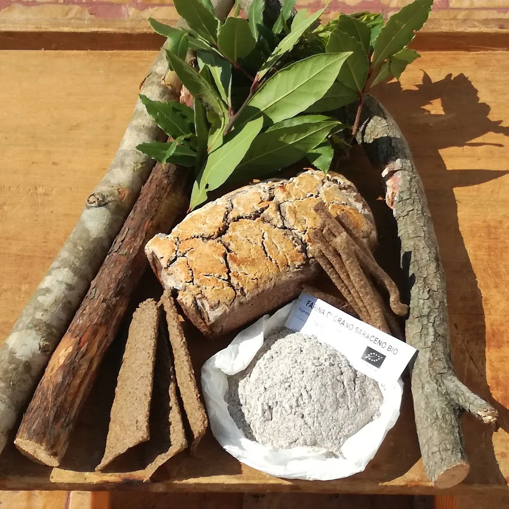 Menu_Pizzeria Biologica Gusto Antico_Ferentino_image_5