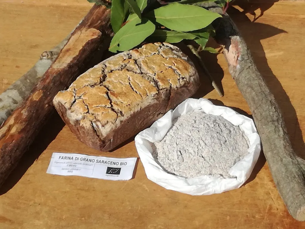 Menu_Pizzeria Biologica Gusto Antico_Ferentino_image_7