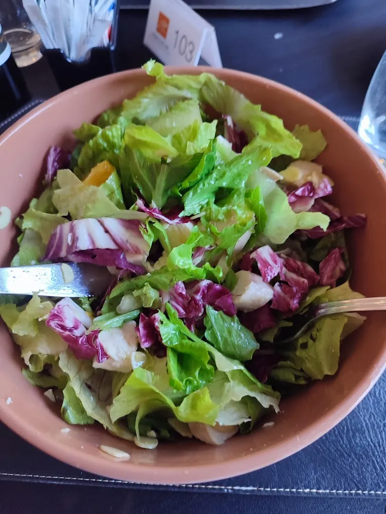 Giuseppe M._Il Grifoncino_Fiuggi_review