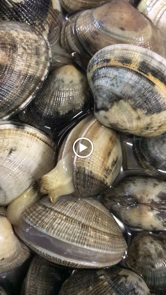 O Mare Mio Osteria marinara_Fiuggi_slider_image_2