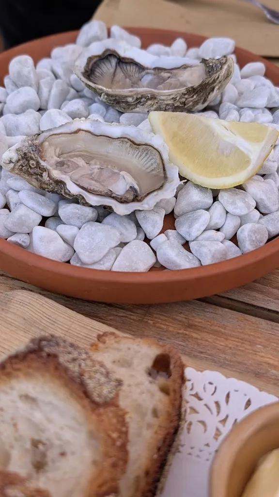 Nicole Vessio_La stella_Focene_review