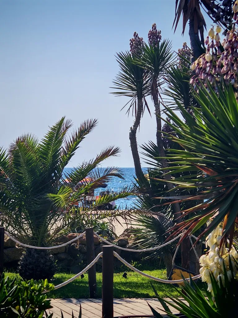 Lucian Tomescu_Altamarea beach_Focene_review