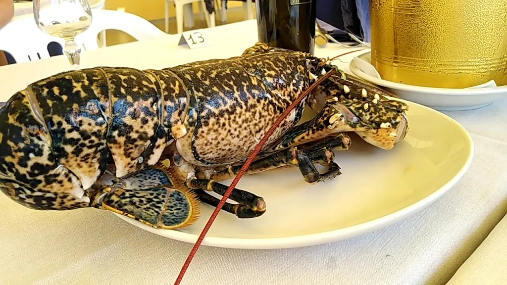 Stab.Balneare tranquility Ltd._Focene_slider_image_2