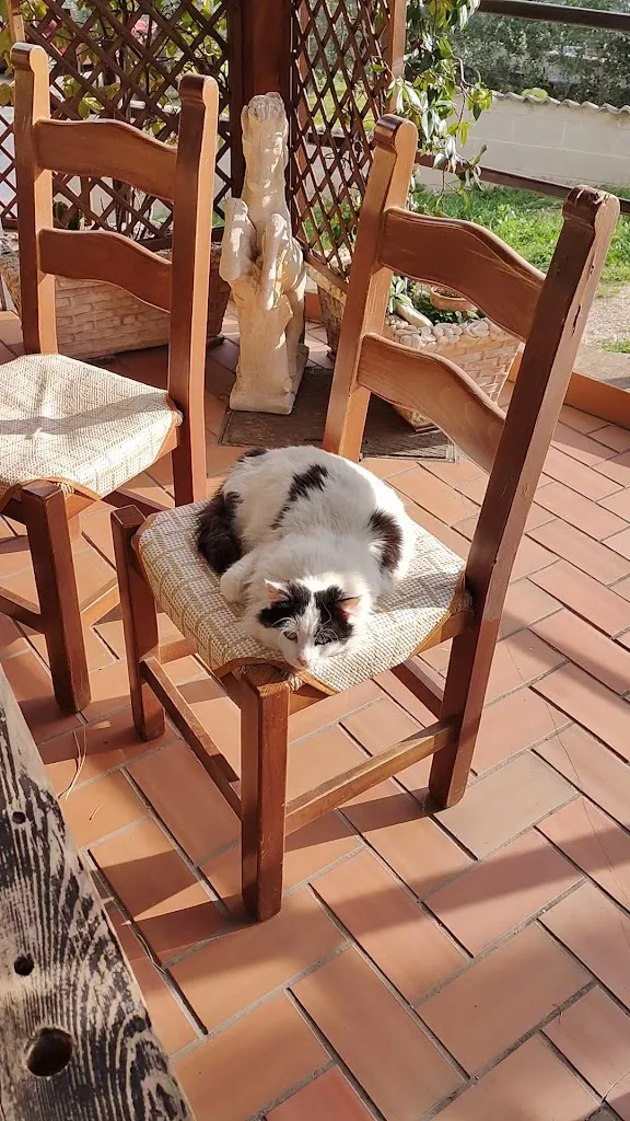 Agriturismo Trivilini restaurant in Treglio