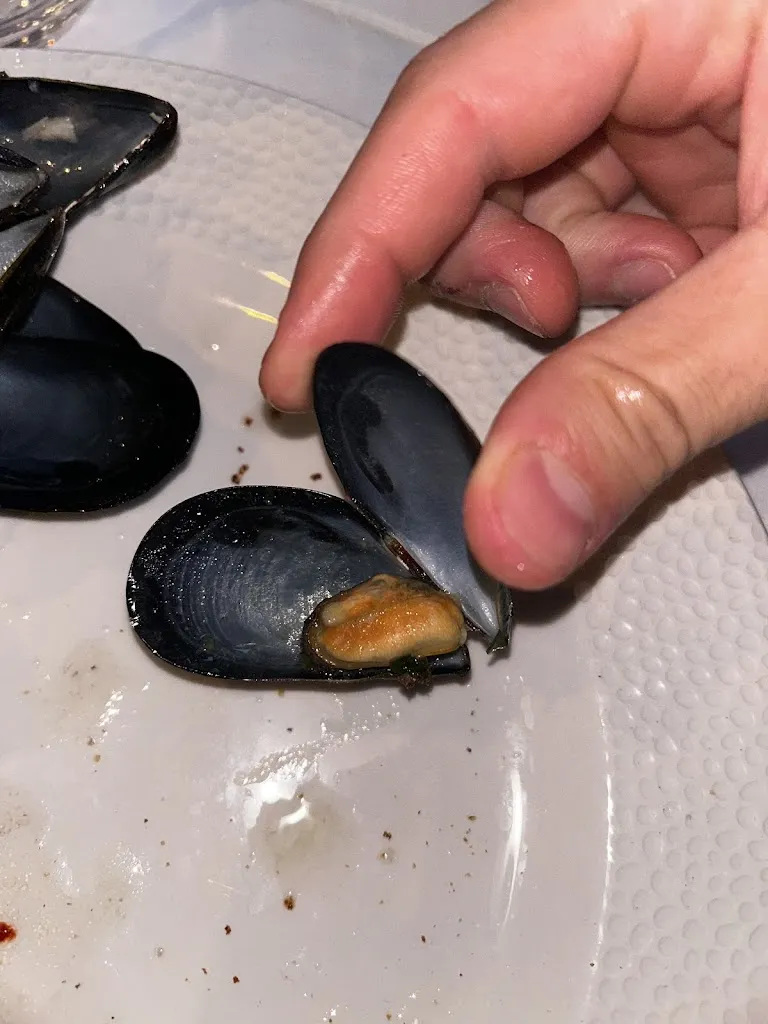 Samuel Chilelli_Sunset Beach - Blue County_Focene_review