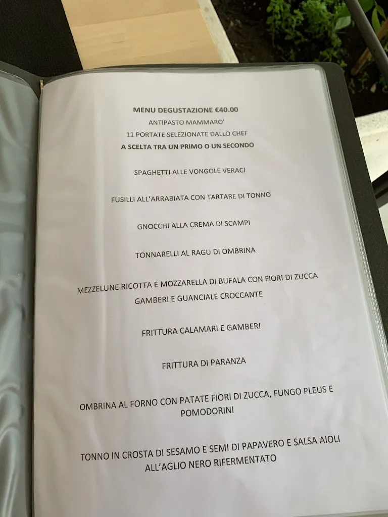 Menu_Mammarò_Fiumicino-Isola Sacra_immagine_3