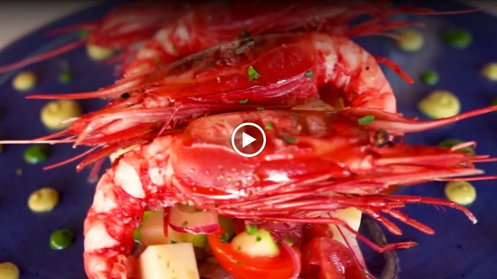 .it Italian Restaurant_Fiumicino-Isola Sacra_slider_image_2