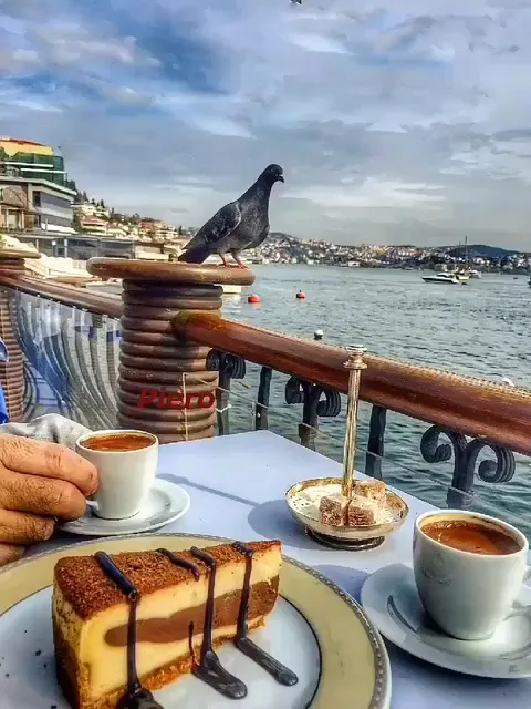 Trattoria Le Romane_Fiumicino-Isola Sacra_slider_image_2