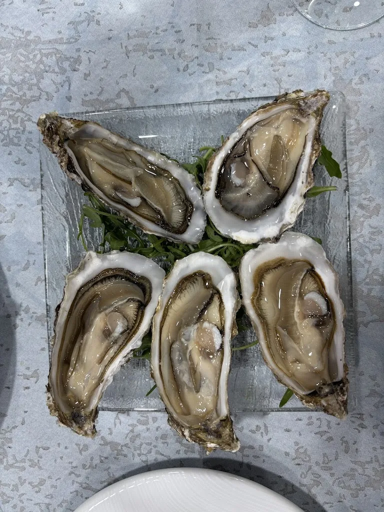 K J_Pisicchio da Raffaella e Milo_Fiumicino-Isola Sacra_review