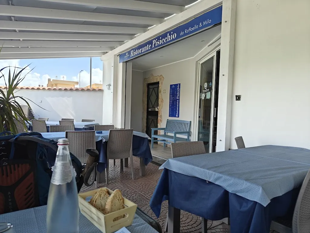 Pisicchio da Raffaella e Milo_Fiumicino-Isola Sacra_slider_image_2