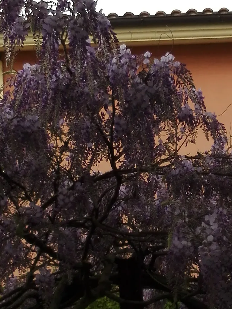 Caffè Bernabucci Trattoria_Forano_slider_image_3