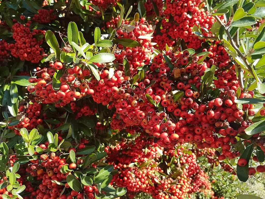 BAR DAGIO'_Fumone_slider_image_3