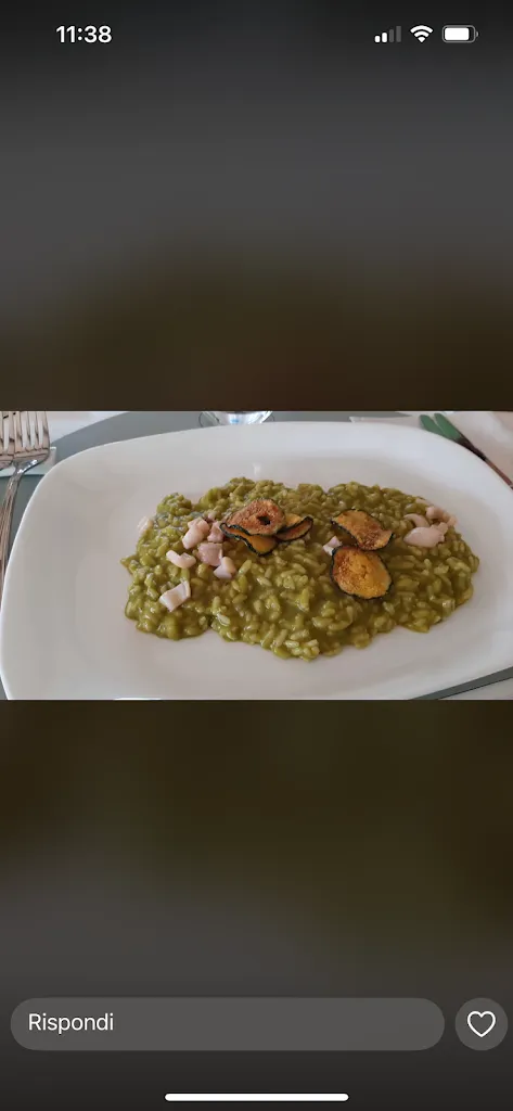 Antonietta Valente_Il Giardino degli Ulivi_Gallinaro_review