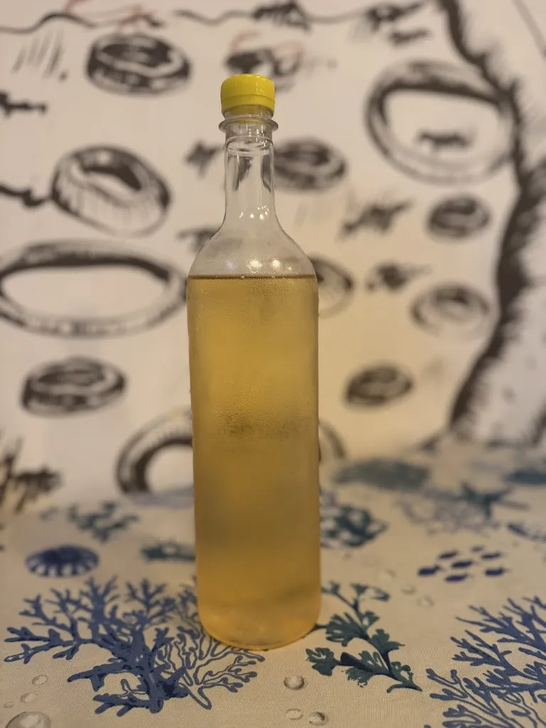 GET UP, GET OUT, GET INVOLVED By Alfredo Centola_Al Vicoletto_Formia_review