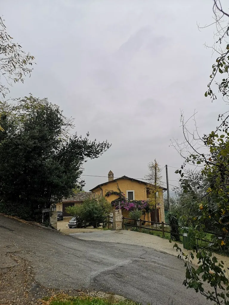 Fabrizio_La Valle degli Ulivi_Vacri_review