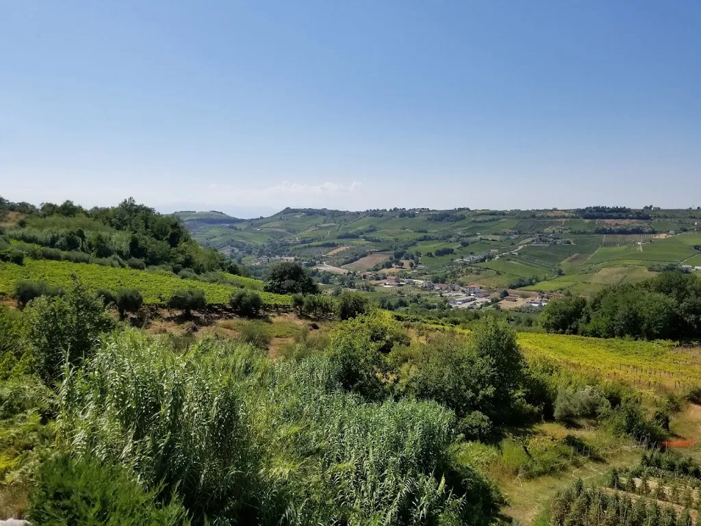 Michael Knoll_La Valle degli Ulivi_Vacri_review