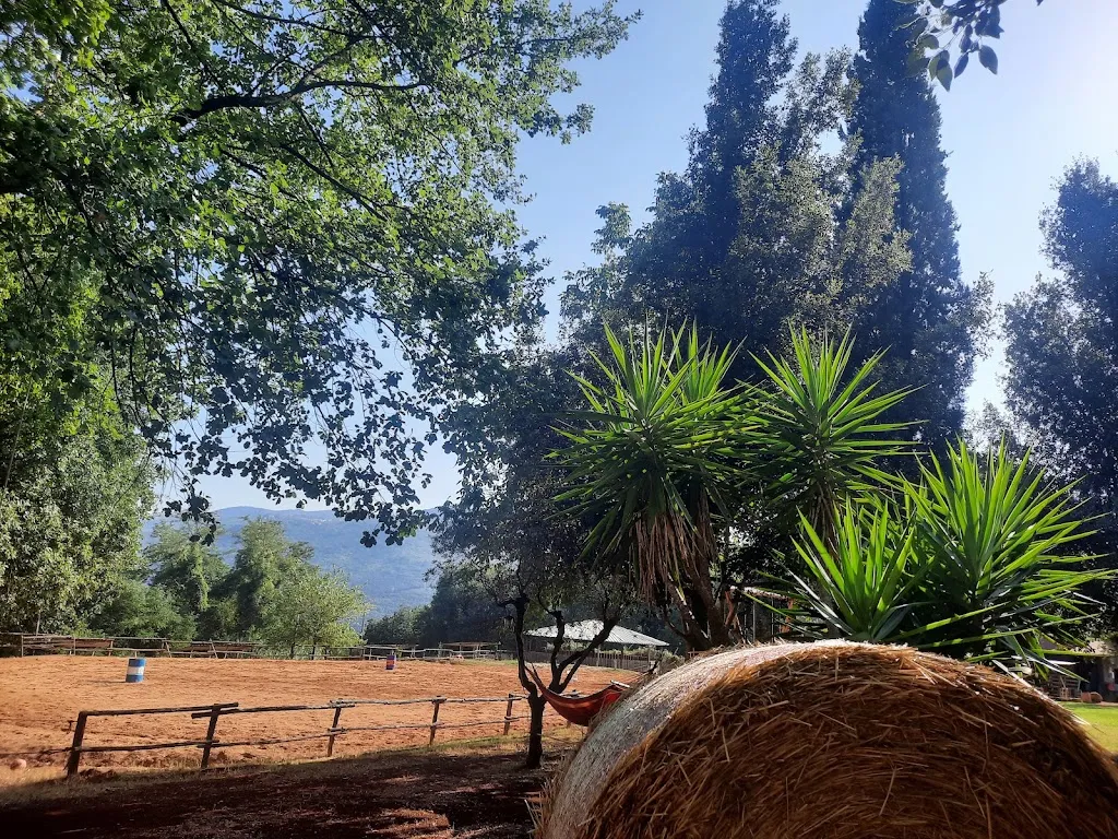 Giuliano di roma_Giuliano di Roma_slider_image_2