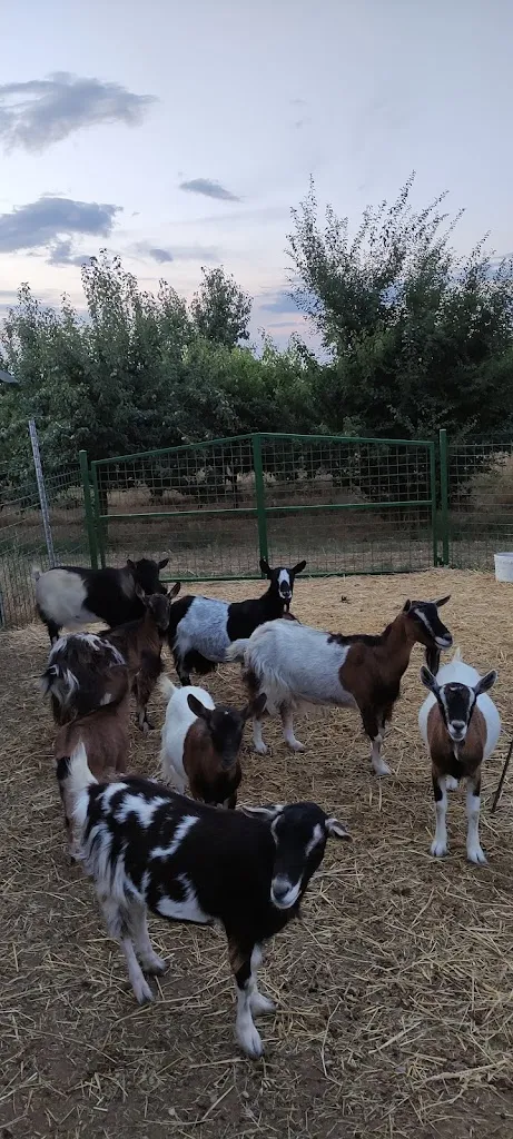 AGRITURISMO IL CASTELLO_Grotte Santo Stefano_slider_image_1