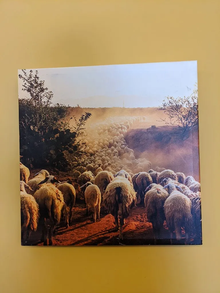 Samuel Silverio_La Transumanza_Vasto_review