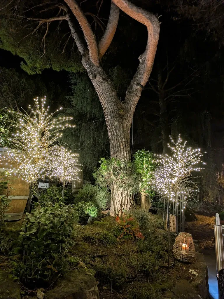 Shine_Barto's Ristorante Grottaferrata_Grottaferrata_review