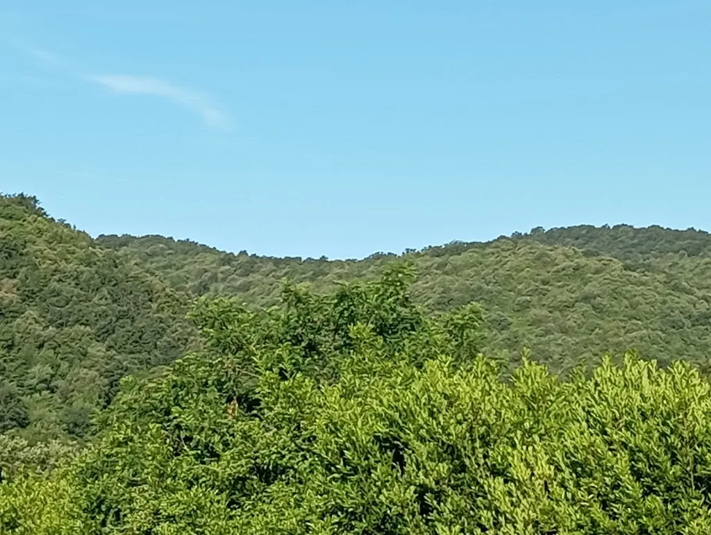 Fausto Di Silvio_Agriturismo Castro_Ischia di Castro_recensione