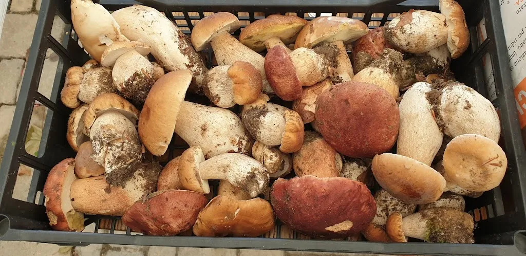 Menu_Chalet Numero 7 - Valle Castellana_Valle Castellana_image_5