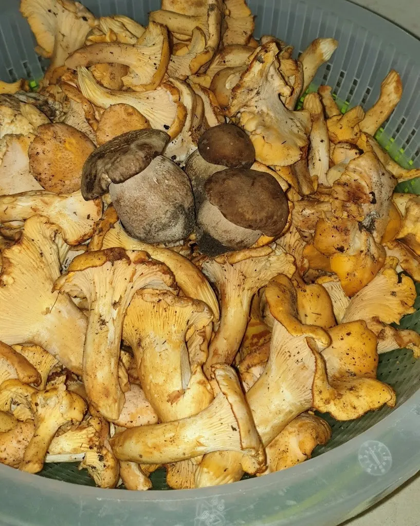 Menu_Chalet Numero 7 - Valle Castellana_Valle Castellana_image_6