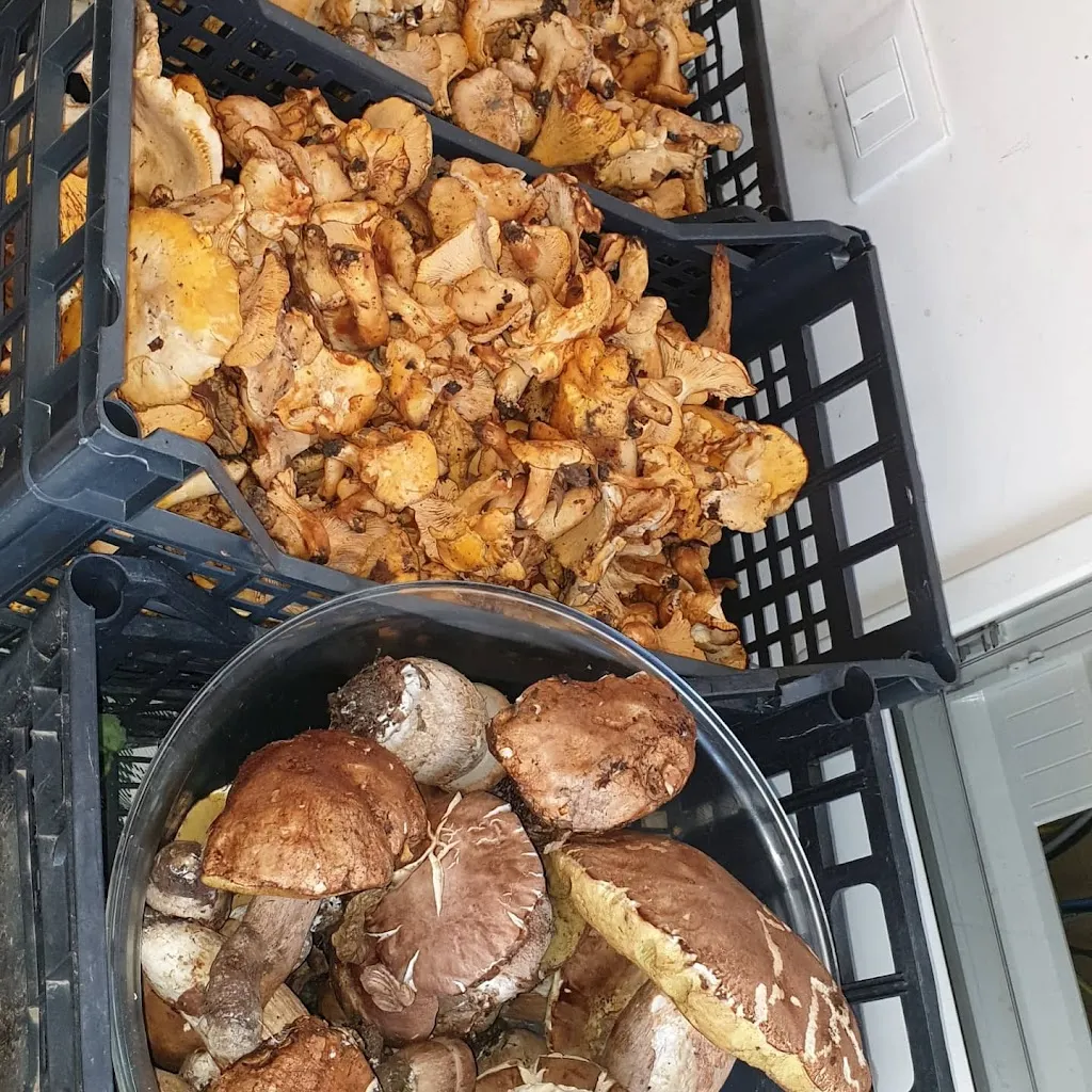 Menu_Chalet Numero 7 - Valle Castellana_Valle Castellana_image_9