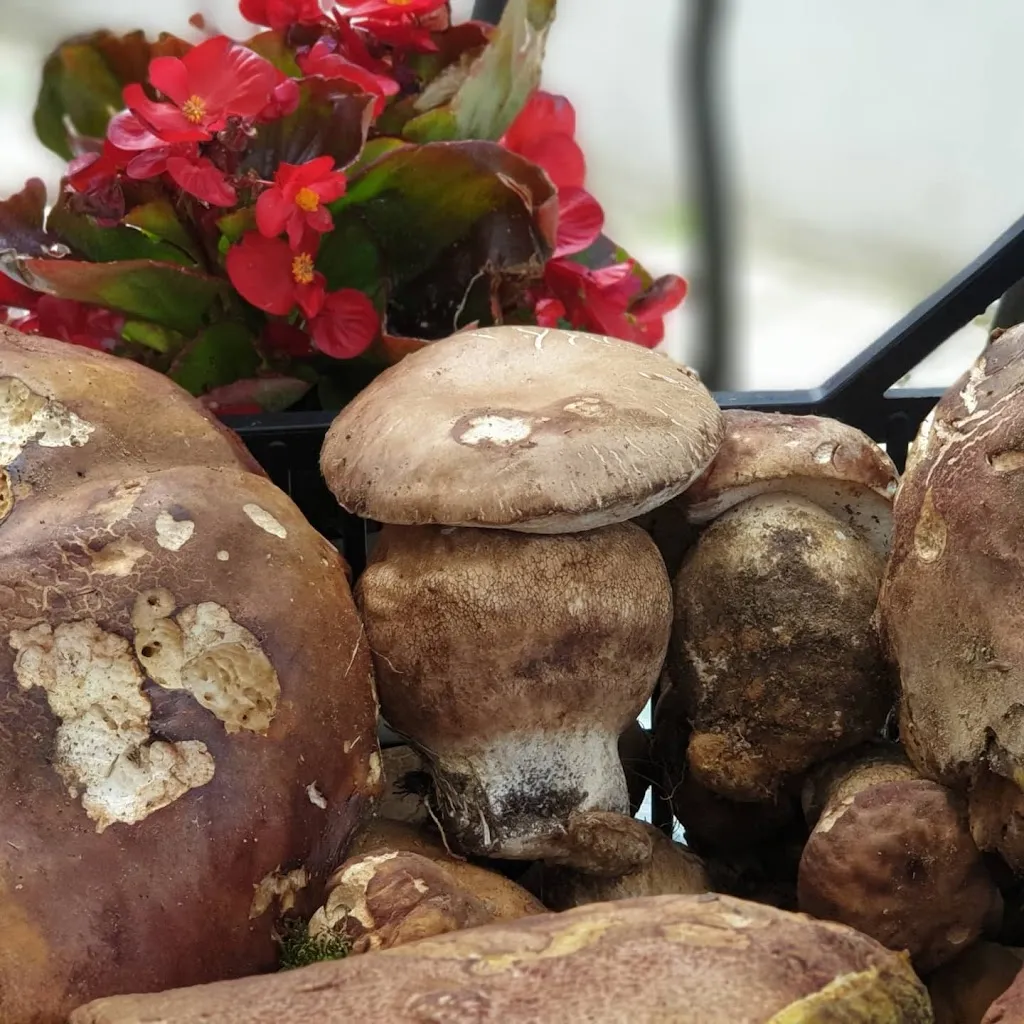 Chalet Numero 7 - Valle Castellana_Valle Castellana_slider_image_3