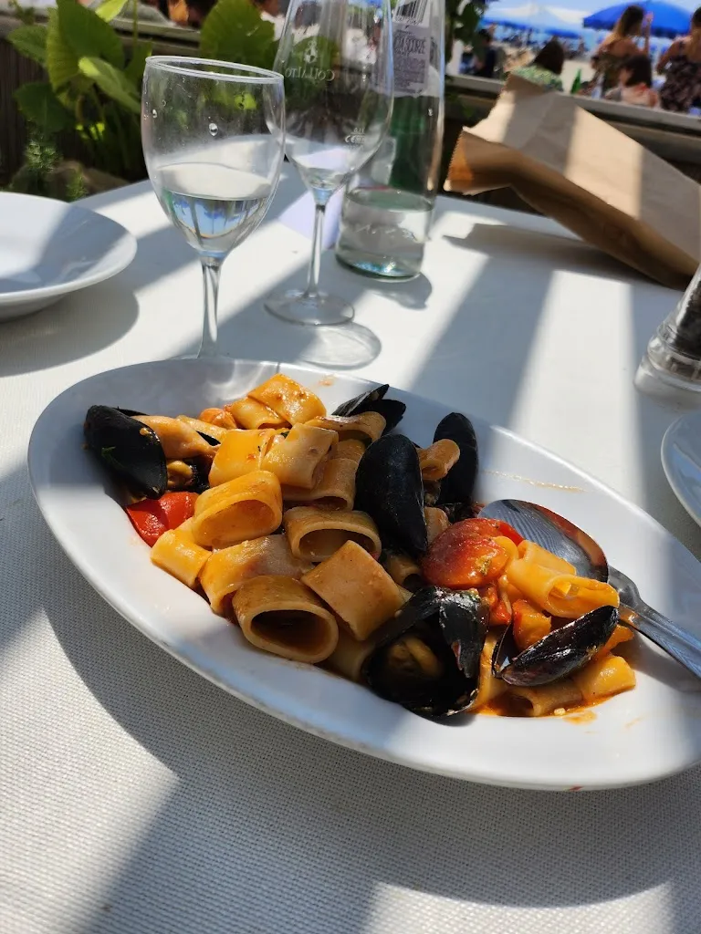 Cathy Clinch_Mastino Fregene_Fregene_review