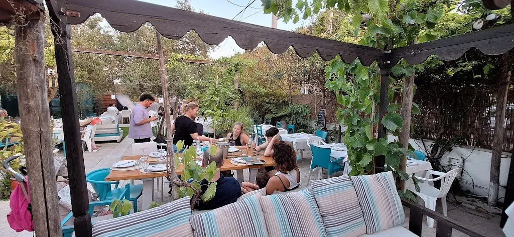 York Zucchi_Back Flip Da Moisè_Fregene_review