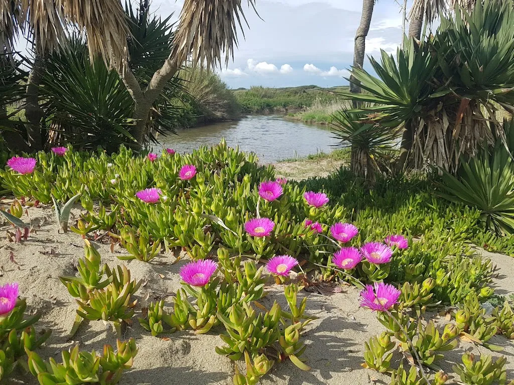 Alessio Verde_Kiosco_Fregene_review