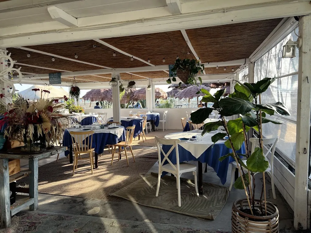 Il Patio restaurant in Fregene