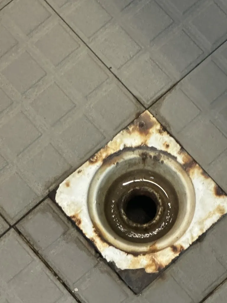 Mujara Senan_Ristorante Oasi Fregene_Fregene_review