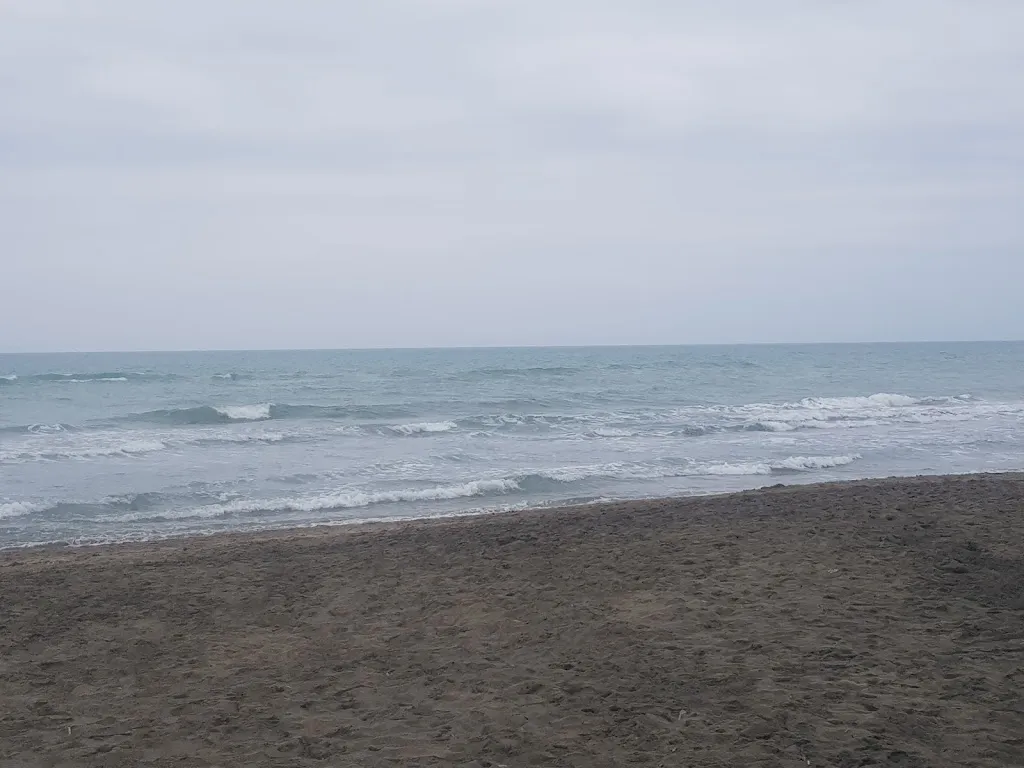 Fregene restaurant in Fregene