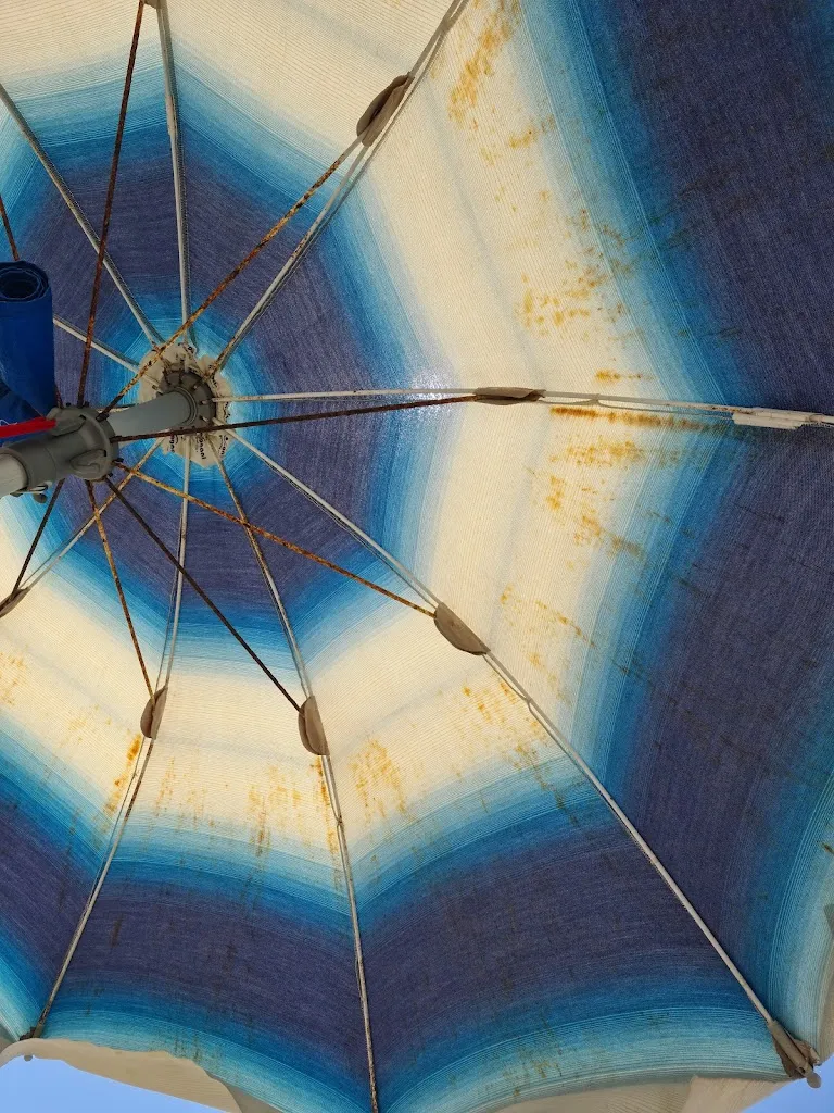 Sara Johnson_Oasi Fregene_Fregene_review