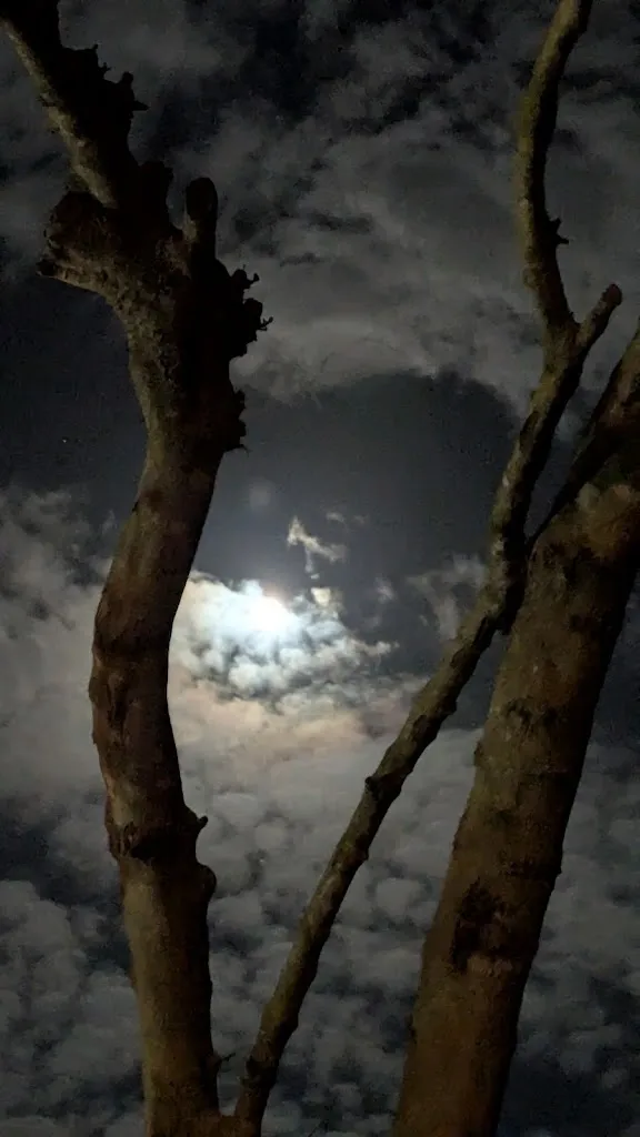 Geco Francesco Zibellini_Stabilimento Ondina Fregene_Fregene_recensione