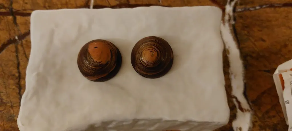 Menu_The Vinum Senses - Osteria Contemporanea_Villa Caldari_image_4